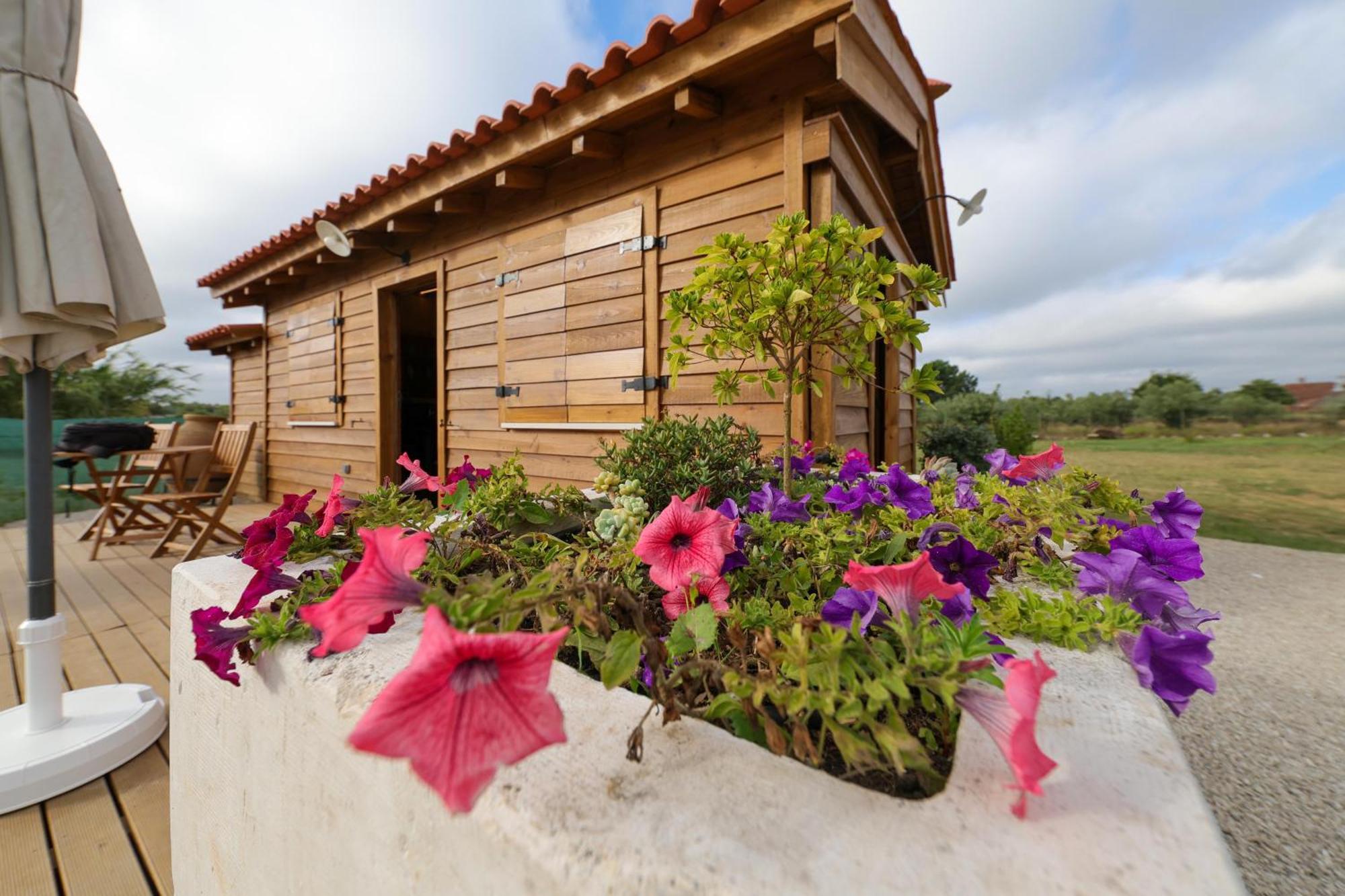 فيلا Renovated Wine Press House - With Pool Porto de Mós الغرفة الصورة